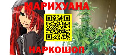 индика Будённовск