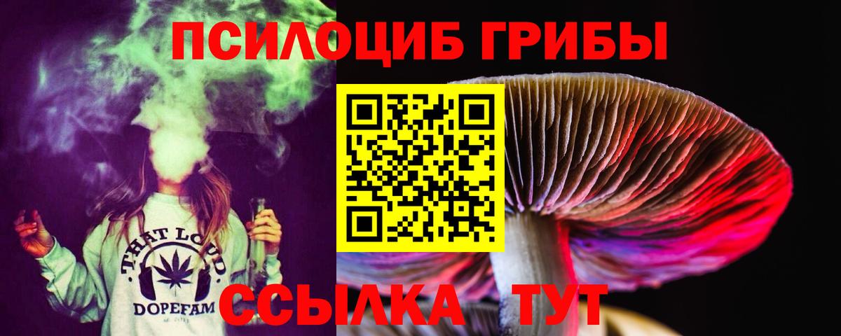 Галлюциногенные грибы мухоморы  Вход с VPN  хочу   Нижний Новгород 